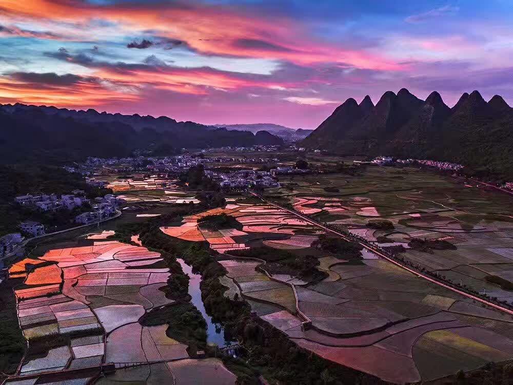 Pink and gold dawn sky over the Wanfenglin karst peaks with paddy fields below